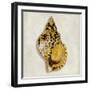 Golden Ocean Gems on Ivory III-Caroline Kelly-Framed Art Print