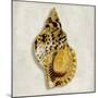 Golden Ocean Gems on Ivory III-Caroline Kelly-Mounted Art Print