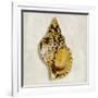 Golden Ocean Gems on Ivory III-Caroline Kelly-Framed Art Print