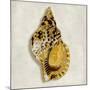 Golden Ocean Gems on Ivory III-Caroline Kelly-Mounted Art Print