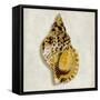 Golden Ocean Gems on Ivory III-Caroline Kelly-Framed Stretched Canvas