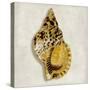 Golden Ocean Gems on Ivory III-Caroline Kelly-Stretched Canvas