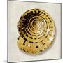 Golden Ocean Gems on Ivory IV-Caroline Kelly-Mounted Art Print