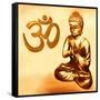 Golden Om-Christine Ganz-Framed Stretched Canvas