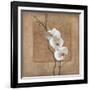 Golden Orchid I-Lee Carlson-Framed Art Print
