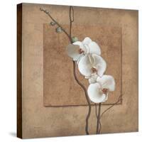 Golden Orchid I-Lee Carlson-Stretched Canvas