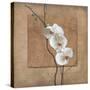 Golden Orchid I-Lee Carlson-Stretched Canvas