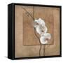 Golden Orchid I-Lee Carlson-Framed Stretched Canvas