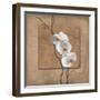 Golden Orchid I-Lee Carlson-Framed Art Print