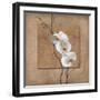 Golden Orchid I-Lee Carlson-Framed Art Print