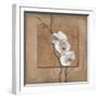 Golden Orchid I-Lee Carlson-Framed Art Print