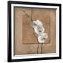 Golden Orchid I-Lee Carlson-Framed Art Print