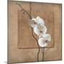Golden Orchid I-Lee Carlson-Mounted Art Print