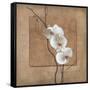 Golden Orchid I-Lee Carlson-Framed Stretched Canvas