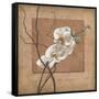 Golden Orchid II-Lee Carlson-Framed Stretched Canvas