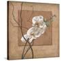 Golden Orchid II-Lee Carlson-Stretched Canvas