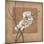 Golden Orchid II-Lee Carlson-Mounted Art Print