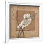 Golden Orchid II-Lee Carlson-Framed Art Print