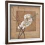 Golden Orchid II-Lee Carlson-Framed Art Print