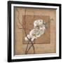 Golden Orchid II-Lee Carlson-Framed Art Print