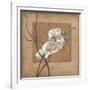 Golden Orchid II-Lee Carlson-Framed Art Print