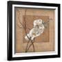 Golden Orchid II-Lee Carlson-Framed Art Print