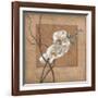 Golden Orchid II-Lee Carlson-Framed Art Print