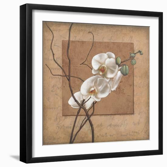 Golden Orchid II-Lee Carlson-Framed Art Print