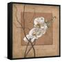 Golden Orchid II-Lee Carlson-Framed Stretched Canvas