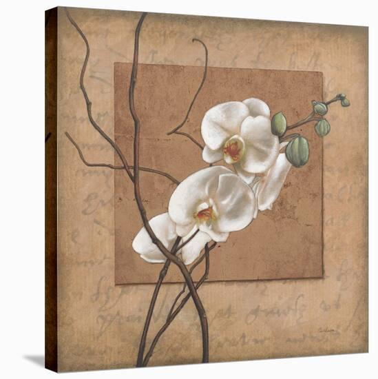 Golden Orchid II-Lee Carlson-Stretched Canvas