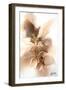 Golden Orchid-SoosooStudios-Framed Art Print