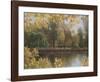 Golden Palette-Diane Romanello-Framed Art Print