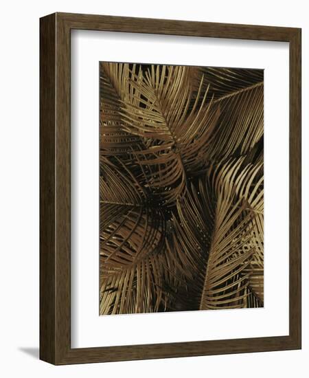 Golden Palm 2-Design Fabrikken-Framed Photographic Print