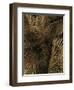 Golden Palm 2-Design Fabrikken-Framed Photographic Print