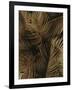 Golden Palm 2-Design Fabrikken-Framed Photographic Print