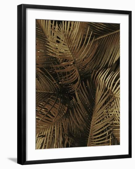 Golden Palm 2-Design Fabrikken-Framed Photographic Print