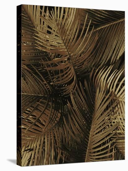 Golden Palm 2-Design Fabrikken-Stretched Canvas