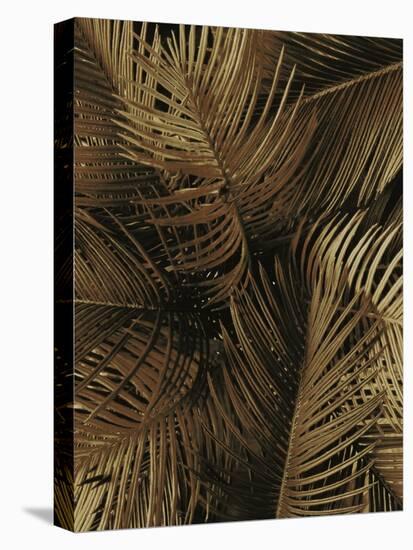 Golden Palm 2-Design Fabrikken-Stretched Canvas