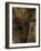 Golden Palm 2-Design Fabrikken-Framed Photographic Print