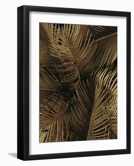 Golden Palm 2-Design Fabrikken-Framed Photographic Print