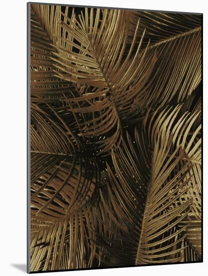 Golden Palm 2-Design Fabrikken-Mounted Photographic Print