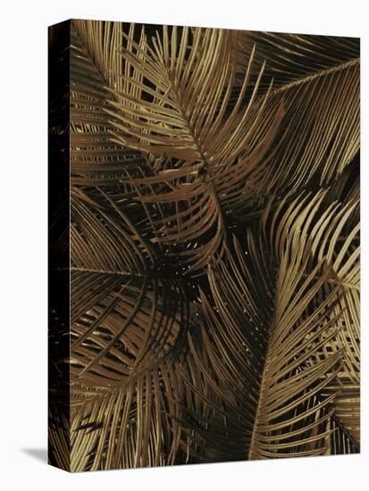 Golden Palm 2-Design Fabrikken-Stretched Canvas