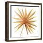 Golden Palm I-Yvette St. Amant-Framed Art Print