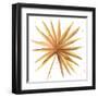 Golden Palm I-Yvette St. Amant-Framed Art Print