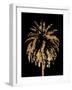 Golden Palm Tree II-Alonzo Saunders-Framed Art Print