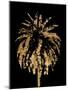 Golden Palm Tree II-Alonzo Saunders-Mounted Art Print