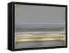 Golden Passage-Taylor Hamilton-Framed Stretched Canvas