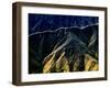 Golden Path-Andrew Hall-Framed Photographic Print