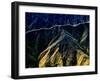 Golden Path-Andrew Hall-Framed Photographic Print