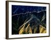 Golden Path-Andrew Hall-Framed Photographic Print